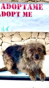 Lupe Image 1